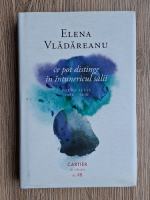 Elena Vladareanu - Ce pot distinge in intunericul salii. Poeme alese 2002-2020