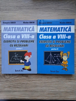 Georgeta Ghiciu - Matematica. Clasa a VIII-a. Exercitii si probleme cu rezolvari 