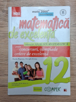 Nicolae Musuroia, Gheorghe Boroica - Matematica de excelenta pentru concursuri, olimpiade si centre de excelenta. Analiza matematica (volumul 2)