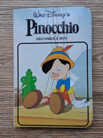 Pinocchio. Becomes a boy 