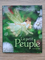 Sandrine Rabouan - Le petit peuple