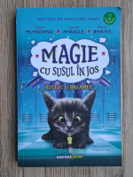 Sarah Mlynowski - Magie cu susul in jos, volumul 2. Bucluc si balamuc