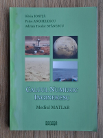Silviu Ionita, Petre Anghelescu, Adrian Teodor Stanescu - Calcul numeric ingineresc. Mediul MATLAB