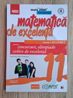 Vasile Pop, Dana Heuberger - Matematica de excelenta pentru concursuri, olimpiada si centre de excelenta. Algebra (volumul 1)
