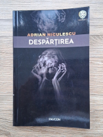 Adrian Niculescu - Despartirea