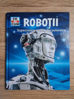 Bernd Flessner - Robotii. Supercreiere si ajutoare puternice