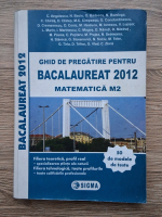 C. Anghelescu - Matematica, M2. Ghid de pregatire pentru bacalaureat