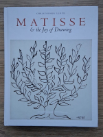 Christopher Lloyd - Matisse and the joy of drawing