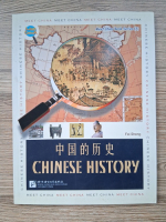 Fei Sheng - Chinese history