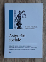 Gabriela Cristina Frentiu - Asigurari sociale