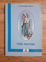 Gheorghe Ciuraru - Pilde mariane