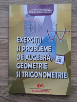 I. V. Maftei - Exercitii si probleme de algebra, geometrie si trigonometrie, clasa a IX-a