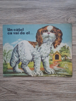 Ion Cringuleanu - Un catel ca vai de el...