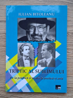 Iulian Bitoleanu - Triptic al sublimului. De la poietica si media la poetica si arta