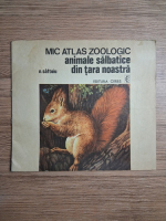 N. Saftoiu - Mic atlas zoologic. Animale salbatice din tara noastra