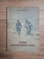 Nikolai Bogdanov - Taina lacului Iulea-Iarvi