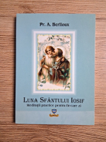 Pr. A. Berlioux - Luna Sfantului Iosif. Meditatii practice pentru fiecare zi