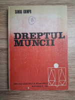 Sanda Ghimpu - Dreptul muncii