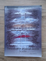Silvestru Stevin - Descult prin propriul destin