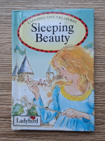 Sleeping Beauty (repovestita de Nicola Baxter)