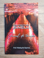 Ani Casarica - Arhitectura sinelui. Jurnal de terapie