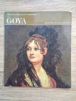 Bernard L. Myers - Goya
