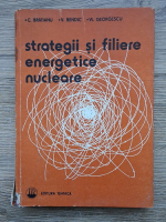 Constantin Bratianu - Strategii si filiere energetice nucleare
