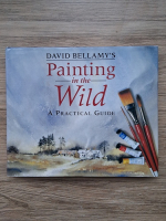 David Bellamy - Painting in the wild. A practical guide