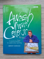 Dermot Cavanagh - Awash with colour. A practical guide to watercolour painting