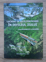 Dionisie Daniel Ardelean - Lucrarile de arta feroviara in defileul Jiului. Linia Bumbesti-Livezeni