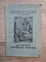 Ilie Daianu - Un sfant pribeag roman (aprox. 1940)