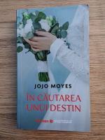 Jojo Moyes - In cautarea unui destin
