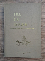 Muzeul de istorie Bistrita. File de istorie, culegere de studii, articole si comunicari