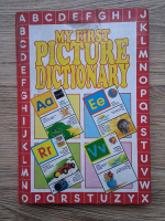 My first picture dictionary