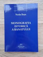 Nicolae Iliesiu - Monografia istorica a Banatului