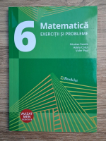 Nicolae Sanda, Adela Cotul, Valer Pop - Matematica, exercitii si probleme, clasa a VI-a