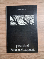 Petru Iliesu - Pastel handicapat