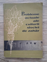 Probleme actuale ale culturii sfeclei de zahar