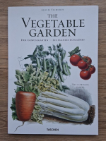 The vegetable garden 