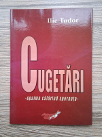 Tudor Ilie - Cugetari, spaima calarind speranta