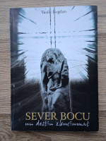 Vasile Bogdan - Sever Bocu. Un destin zbuciumat