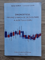 Adrian Gorun - Diagnosticul privind starea de dezvoltare a judetului Gorj