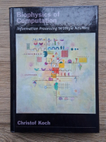Christof Koch - Biophysics of computation. Information processing in single neurons