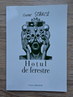 Costel Stancu - Hotul de ferestre