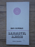 Dan Lupescu - Labirintul amiezii