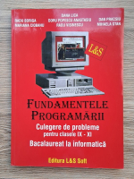 Dana Lica - Fundamentele programarii. Culegere de probleme pentru clasele IX-XI. Bacalaureat la informatica