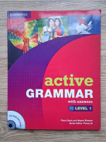 Fiona Davis, Wayne Rimmer - Active grammar with answers. Level 1 (contine CD)