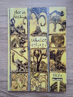 Florin Dochia - Salbatice oglinzi