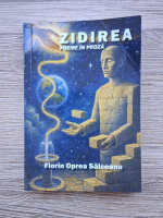 Florin Oprea Salceanu - Zidirea. Poeme in proza