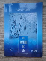 Gabriel Vulpoiu - Pe ramuri de vis